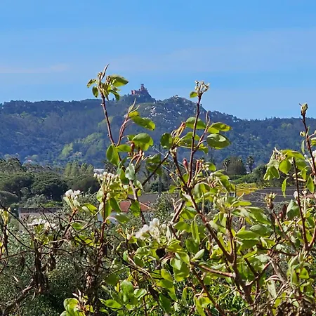 招待所 Aldeias De Sintra